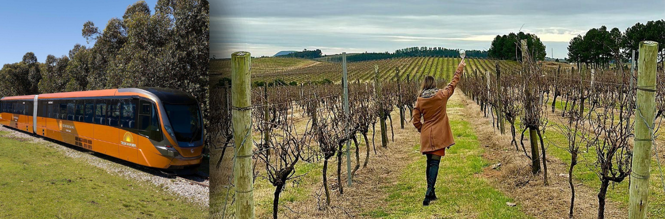 Encante-se no Trem do Pampa, Vinícola Almadén e Compras nos Free Shops de Rivera
